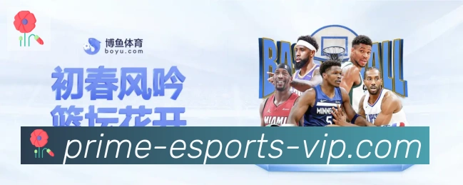 对战数据统计