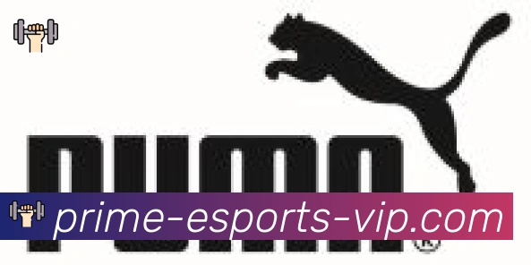 CSGO竞猜合作伙伴